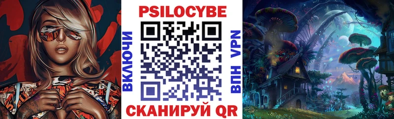 Галлюциногенные грибы Psilocybine cubensis  Кущёвская 